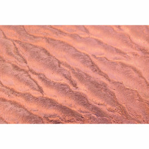 Desert Copper Pattern Sheet