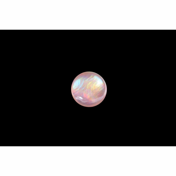 4mm Round Pink Mussel Shell Cabochon