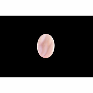 13x18mm Oval Pink Mussel Shell Cabochon