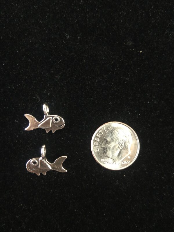 Double-Sided Fish Charm